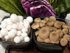 -新辣道鱼火锅(领展购物广场·中关村店)