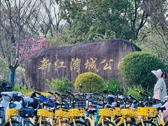 -新江湾城公园