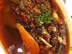 -庆合府重庆大排档(紫都城店)