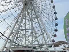 -琴岛之星摩天轮