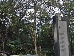 -广州市石门国家森林公园