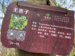 -凤凰沟景区
