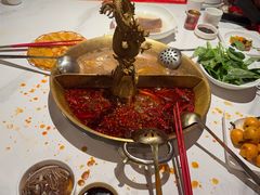-小龙翻大江文化火锅(宽窄店)