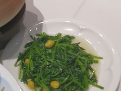 -眉州东坡(北苑华贸店)