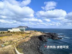 -涉地可支