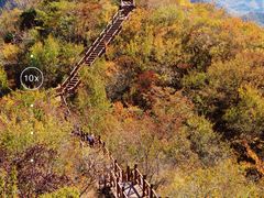 -大岭沟猕猴桃谷风景区