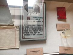 -北京动物园-畅观楼