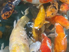 -上海大自然野生昆虫馆(东方明珠·爬宠昆虫探索中心)