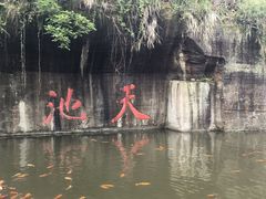 -千岛湖东南湖区