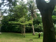 -涠洲岛-圣母堂
