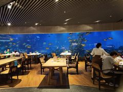 大堂-海棠湾洲际-涛·海底餐厅·美人鱼·自助餐·海底隧道