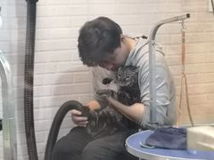 -PETKIT小佩宠物(古北店)