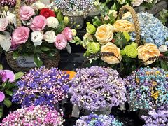 -双季花艺园艺市场(浦东店)