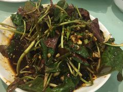 -东吴霸王兔(松青路店)