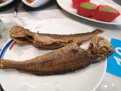 -张江海科雅乐轩聚聚乐