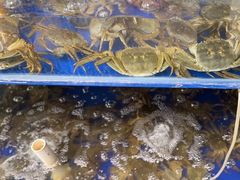 -阳澄湖大闸蟹·琼灵阁牌品牌连锁(吴中总店)