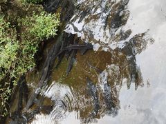 -源泉冷水鱼庄(小鱼洞店)