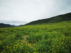 -扁都口生态休闲旅游区