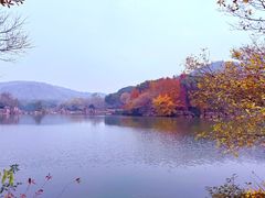 -白马涧龙池景区