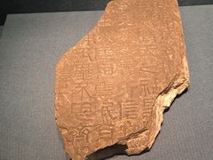 -亳州博物馆