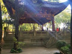 -汇龙潭