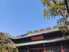 -灵谷景区