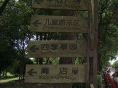 -上海都市菜园