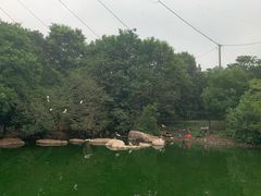 -合肥野生动物园