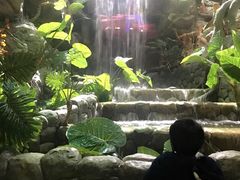 -多彩贵州城极地海洋世界