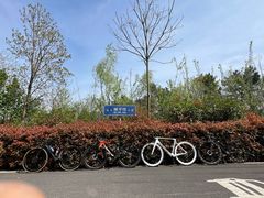 -南京老山国家森林公园