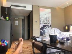 -新加坡瑞士史丹福酒店