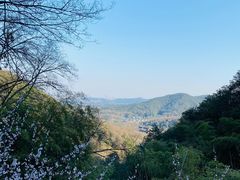 -韬光茶庵