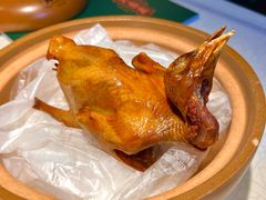 -大鸽饭(动物园店)