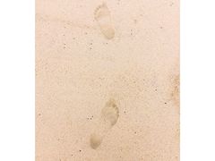 -玫瑰海岸文化旅游度假区