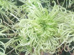 -祥源·阜阳生态乐园