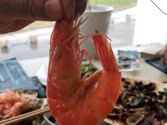 -港畔赶海蒸汽海鲜烧烤自助(仙螺岛店)