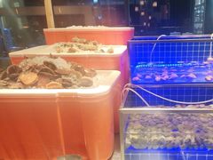 -松咖啡自助餐厅·松北香格里拉