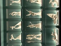 -上海体育博物馆