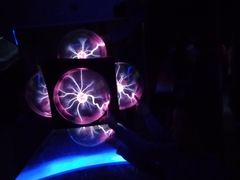 -陕西自然博物馆