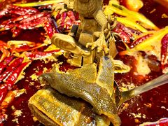 -小龙翻大江文化火锅(宽窄店)