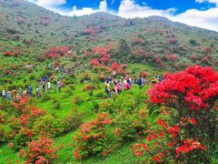 -广东天露山旅游度假区