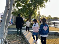 -上海长兴岛郊野公园