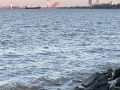 -吴淞炮台湾湿地森林公园烧烤区