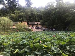 -韶山毛泽东同志故居