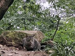 -杭州半山国家森林公园