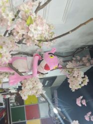 -Ly形象设计