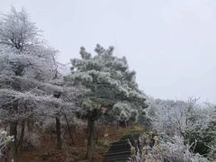 -南岳衡山风景名胜区