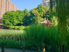 -温江公园