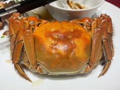 -南苑环球酒店云顶高级中餐厅(鄞县大道店)