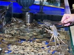 -宴立方海鲜自助(义乌万达广场店)